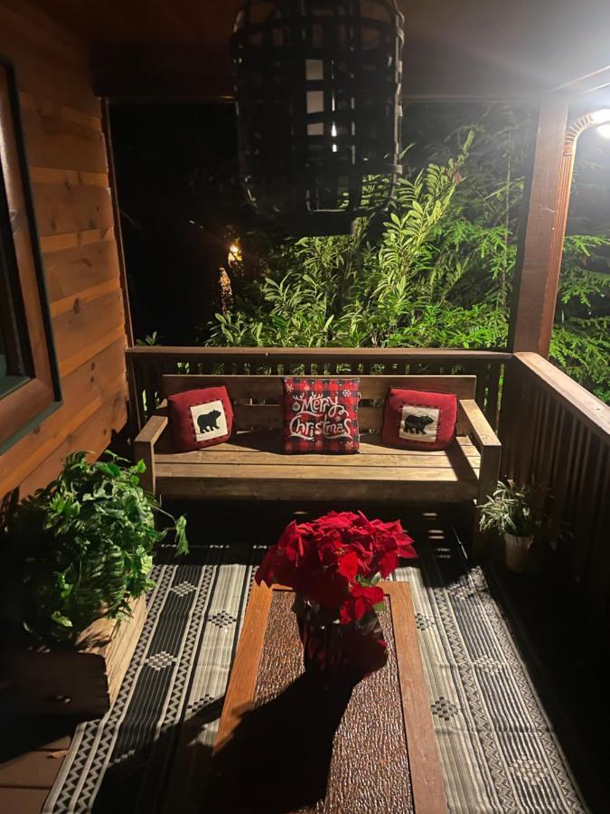 Cozy Creekfront Family Cabin-Pet Friendly -Gamerm-Hot Tub ハイアワシー エクステリア 写真