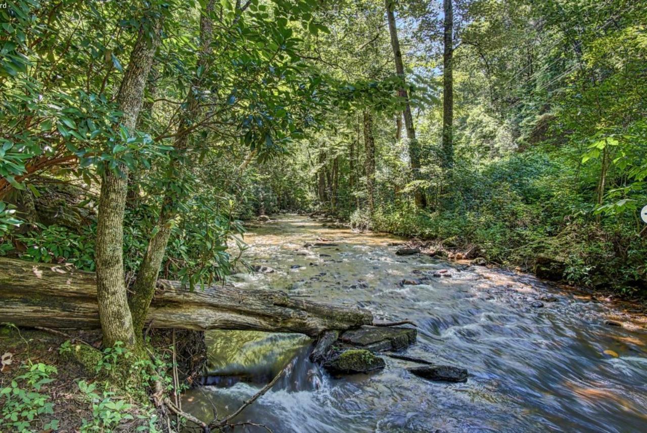 Cozy Creekfront Family Cabin-Pet Friendly -Gamerm-Hot Tub ハイアワシー エクステリア 写真